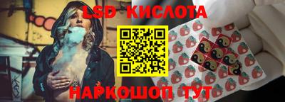 эйфоретик Владимир
