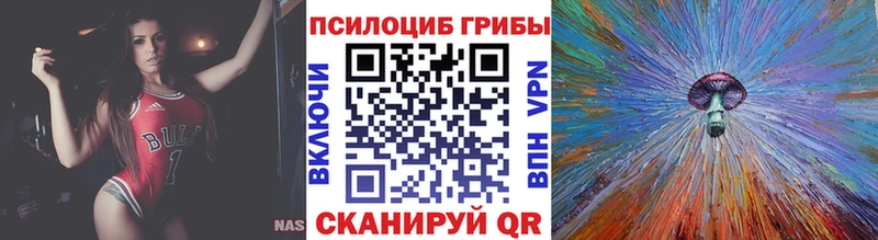Псилоцибиновые грибы мицелий  где купить наркотик  Одинцово 