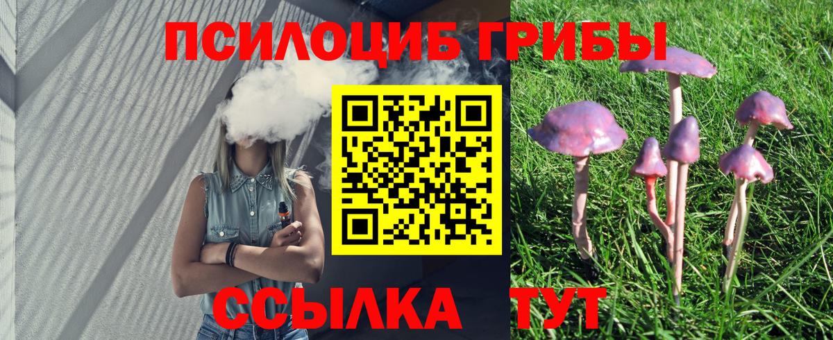 закладка  Псилоцибиновые грибы Psilocybe  Вход с VPN  Одинцово 